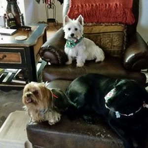 Meet your Posher, Carla